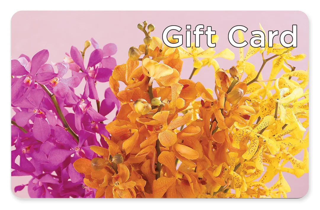 Gift Card – Balloon Creations By Maria And Flower, Wilmington DE