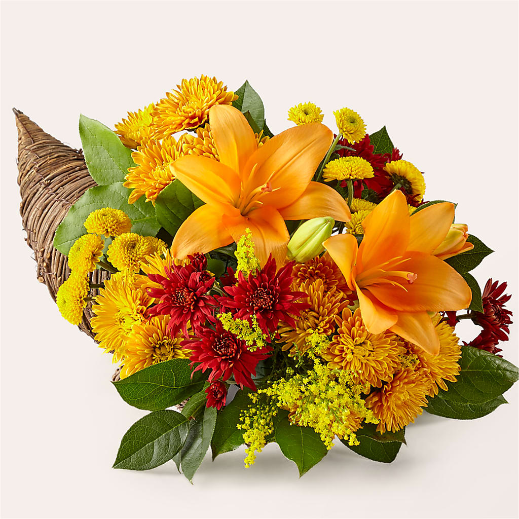 Feast of Color Cornucopia – Balloon Creations By Maria And Flower, Wilmington DE