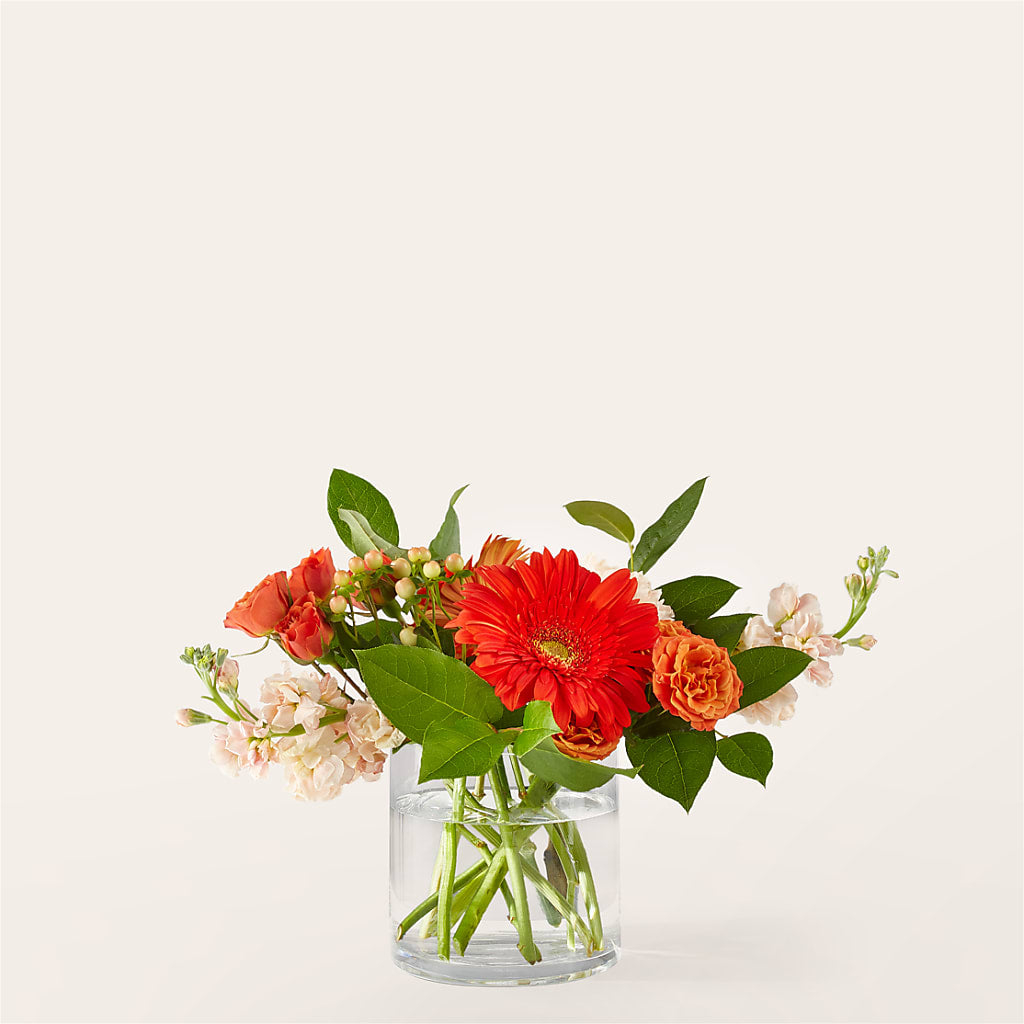 Paloma Please Bouquet – Balloon Creations By Maria And Flower, Wilmington DE