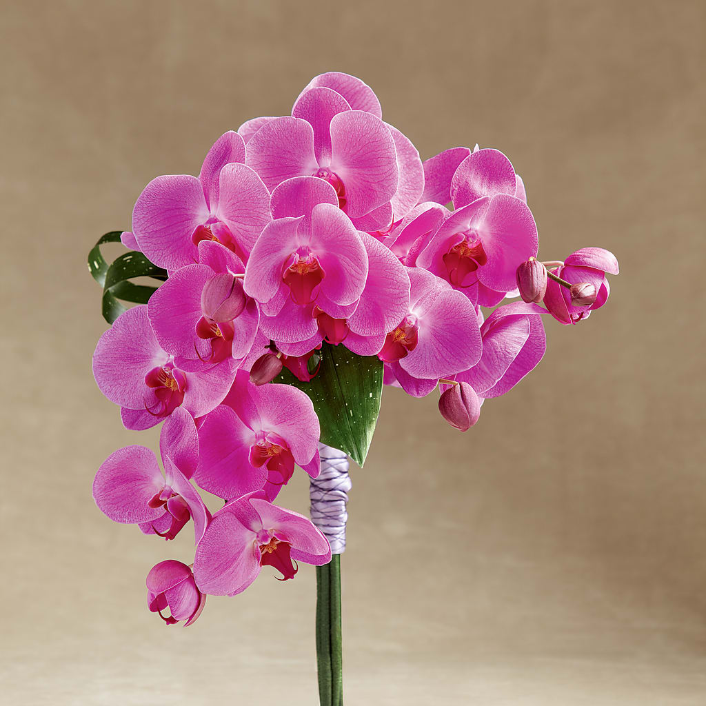 Glorious Bouquet – Balloon Creations By Maria And Flower, Wilmington DE