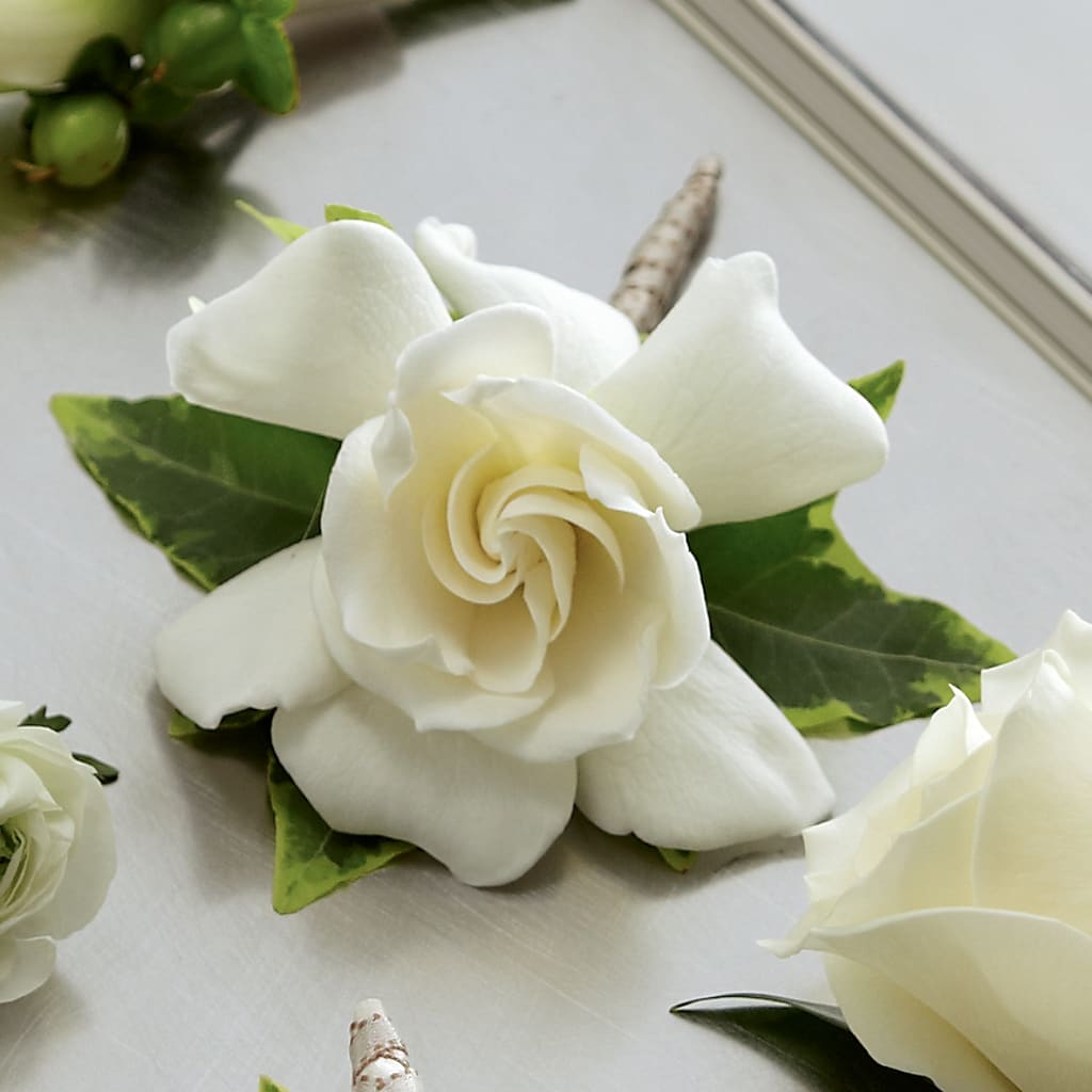 Gardenia Boutonniere – Balloon Creations By Maria And Flower, Wilmington DE