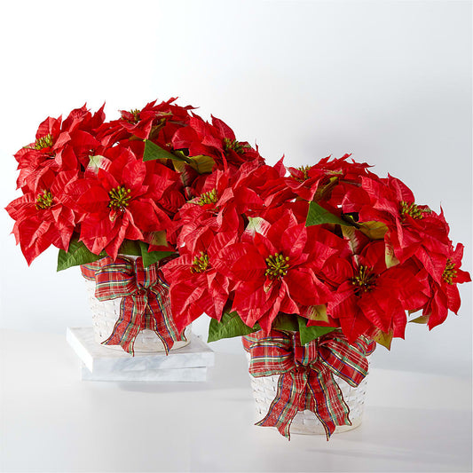 Happiest Holidays Poinsettia Bundle –  Balloon Creations By Maria And Flower, Wilmington DE