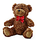 Adorable Plush Bear –  Balloon Creations By Maria And Flower, Wilmington DE