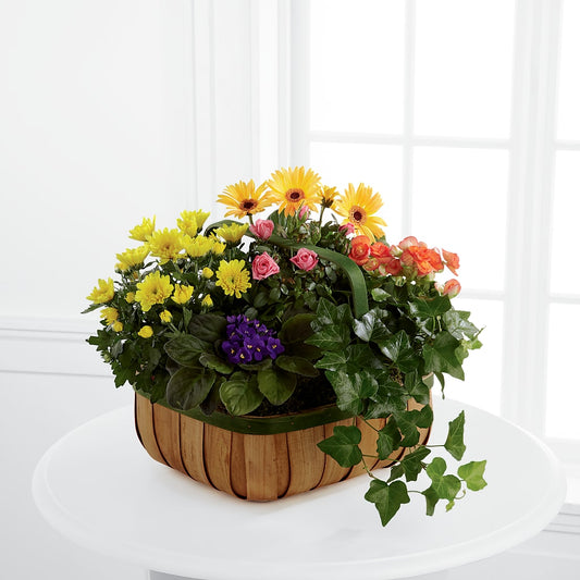 Gentle Blossoms Basket –  Balloon Creations By Maria And Flower, Wilmington DE