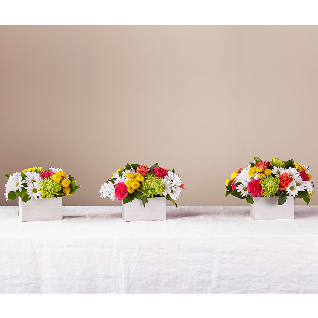 Sorbet Bouquet –  Balloon Creations By Maria And Flower, Wilmington DE