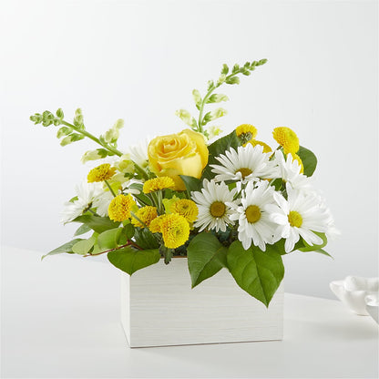 Sun Salutation Box Bouquet –  Balloon Creations By Maria And Flower, Wilmington DE
