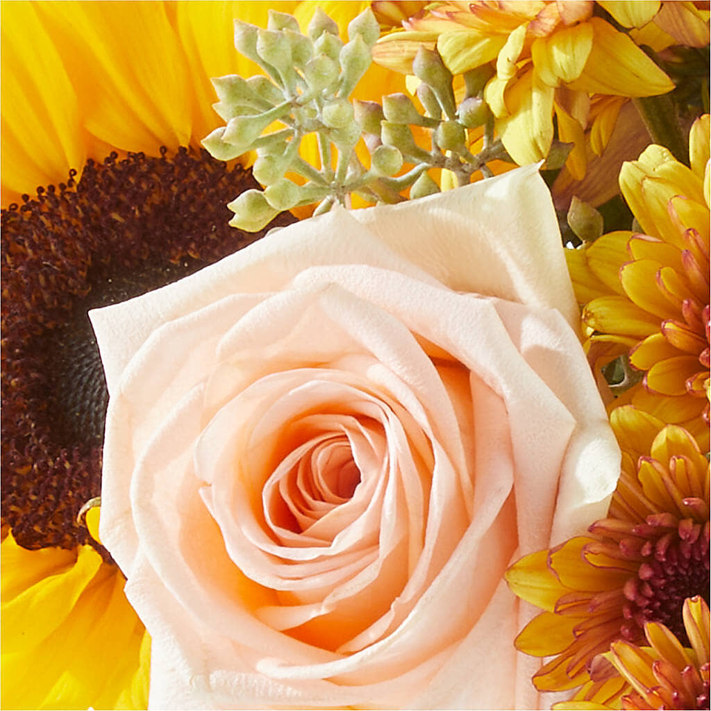 Pumpkin to Talk About Bouquet –  Balloon Creations By Maria And Flower, Wilmington DE