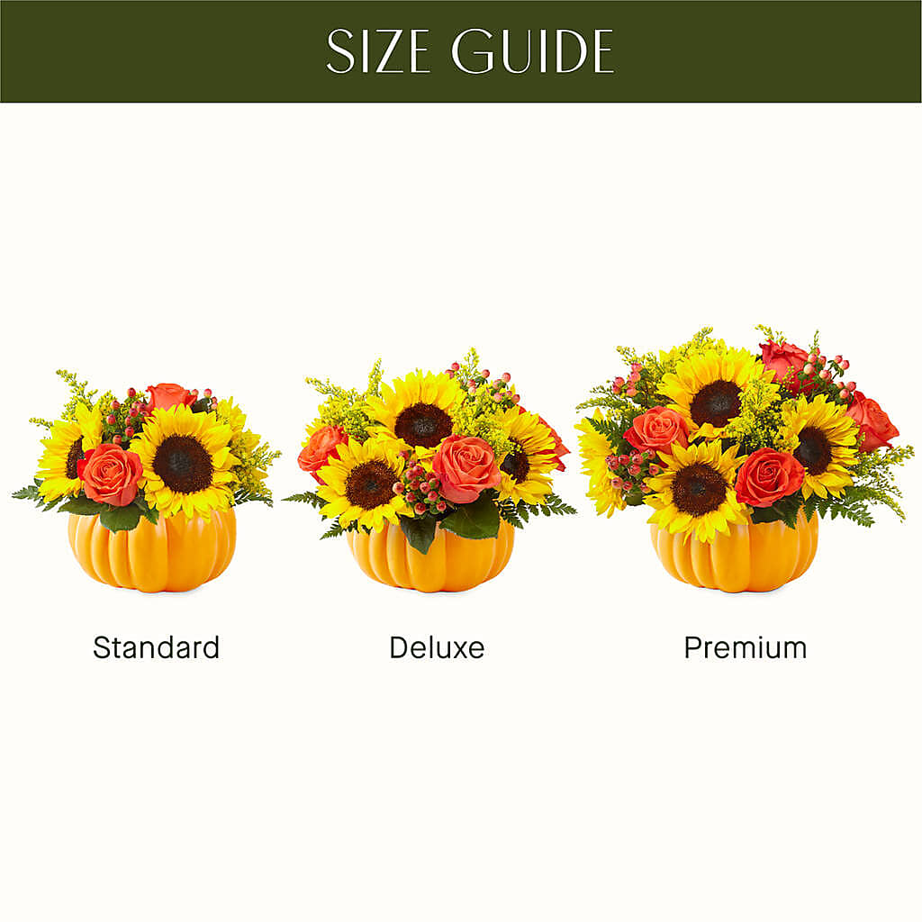 Pick of the Patch Pumpkin Bouquet –  Balloon Creations By Maria And Flower, Wilmington DE