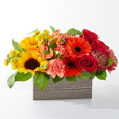 Autumn Orchard Bouquet –  Balloon Creations By Maria And Flower, Wilmington DE