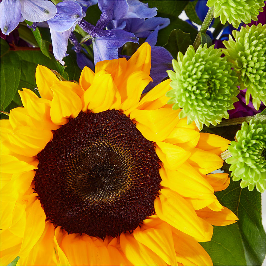 Catching Rays Bouquet –  Balloon Creations By Maria And Flower, Wilmington DE