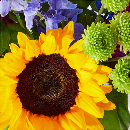 Catching Rays Bouquet –  Balloon Creations By Maria And Flower, Wilmington DE