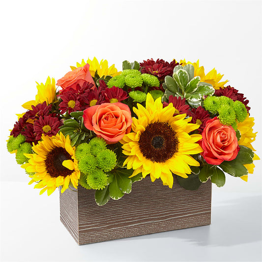 Happy Harvest Garden –  Balloon Creations By Maria And Flower, Wilmington DE