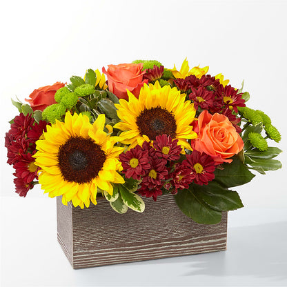 Happy Harvest Garden –  Balloon Creations By Maria And Flower, Wilmington DE
