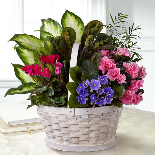Peaceful Garden Planter –  Balloon Creations By Maria And Flower, Wilmington DE
