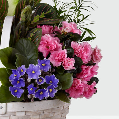 Peaceful Garden Planter –  Balloon Creations By Maria And Flower, Wilmington DE
