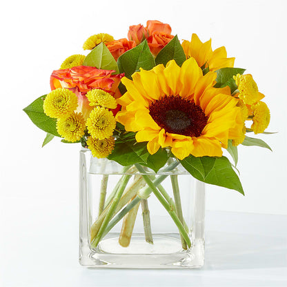Picnic in the Park Bouquet –  Balloon Creations By Maria And Flower, Wilmington DE