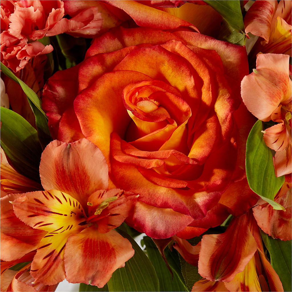 Apricot Glow Bouquet –  Balloon Creations By Maria And Flower, Wilmington DE