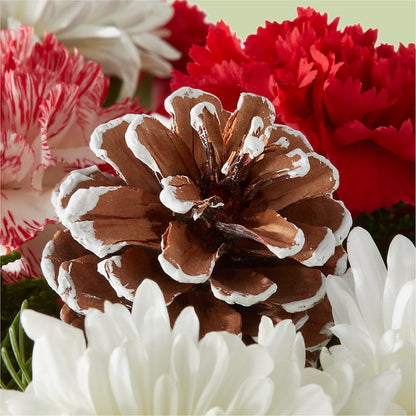 Candy Cane Lane Bouquet –  Balloon Creations By Maria And Flower, Wilmington DE