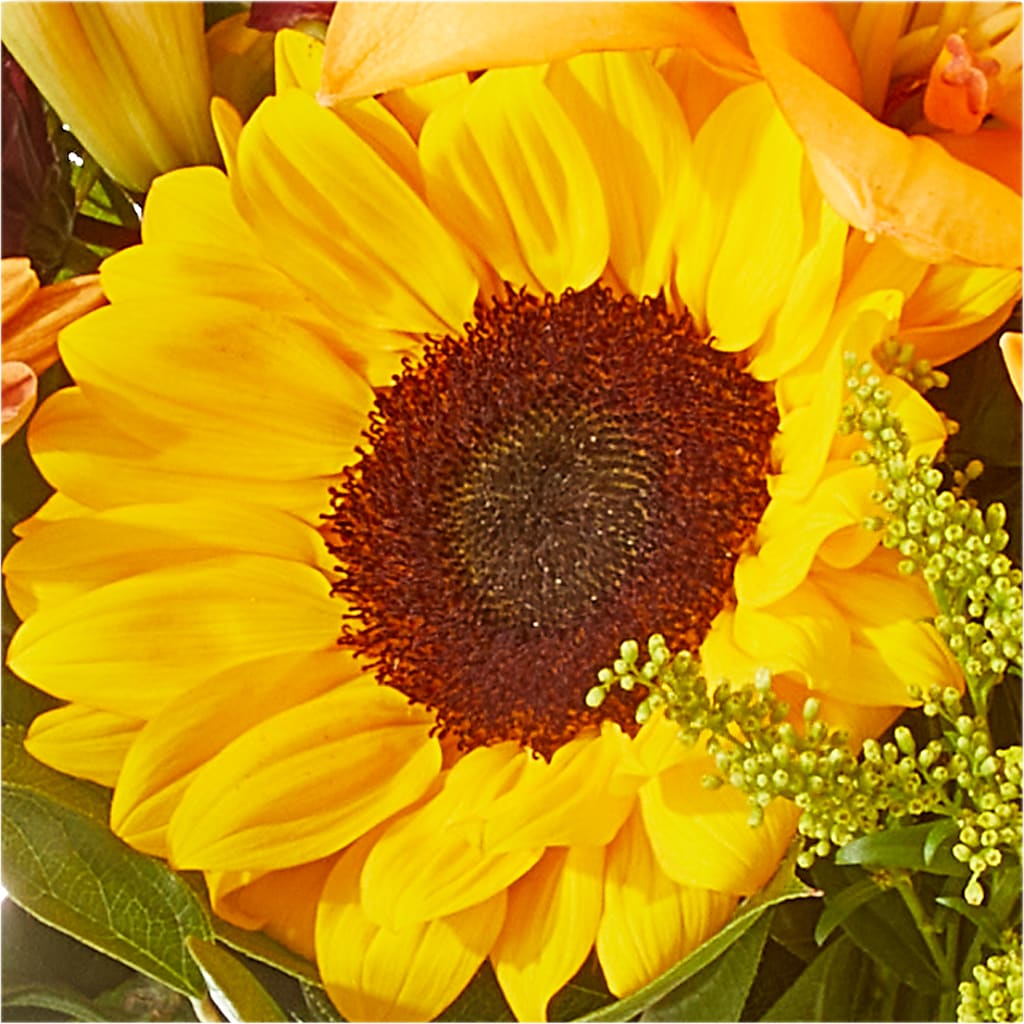 Seasons Change Bouquet –  Balloon Creations By Maria And Flower, Wilmington DE