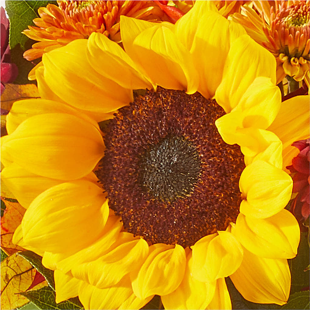 Sunny Side Bouquet –  Balloon Creations By Maria And Flower, Wilmington DE