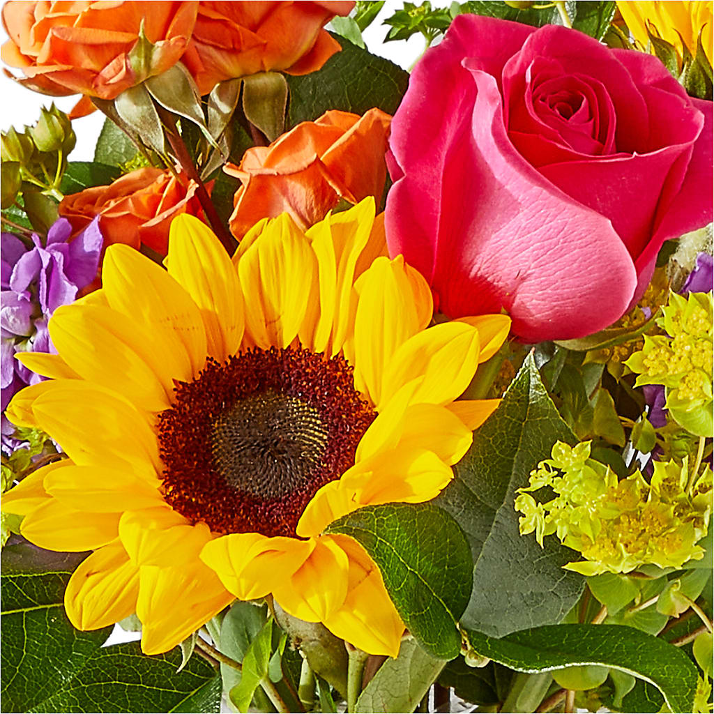 Vibrant Greetings Bouquet –  Balloon Creations By Maria And Flower, Wilmington DE