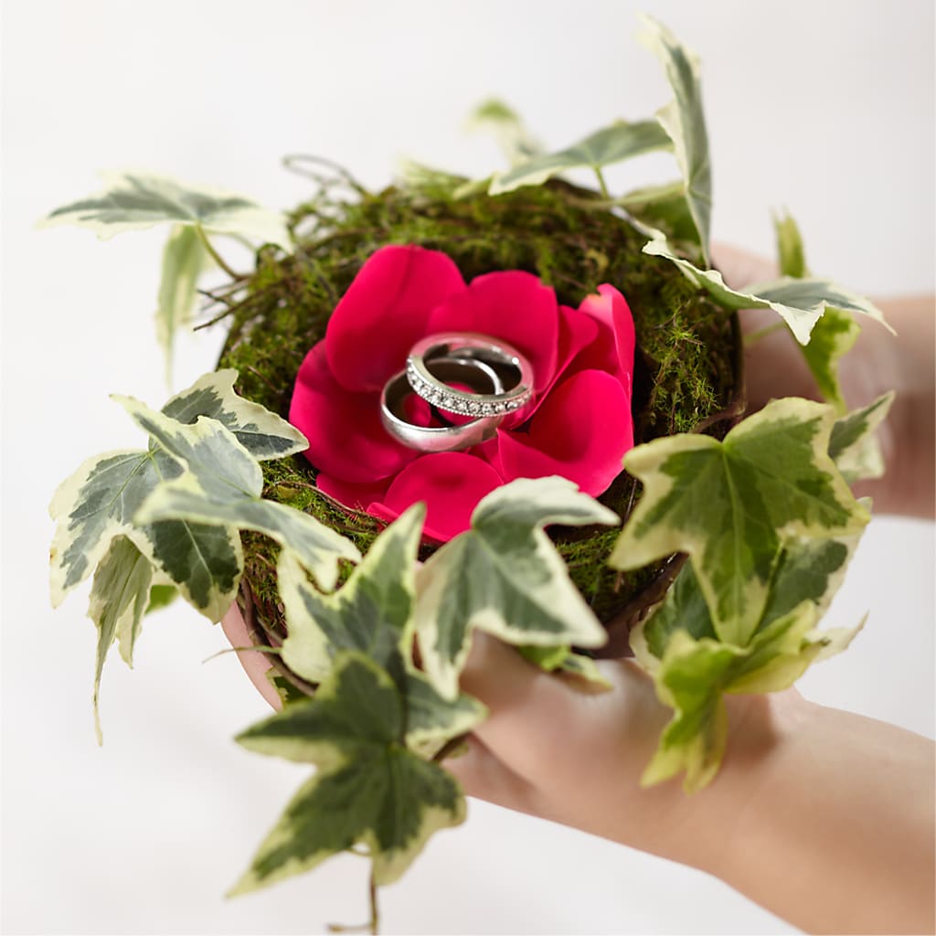 Lila Rose Ring Nest –  Balloon Creations By Maria And Flower, Wilmington DE