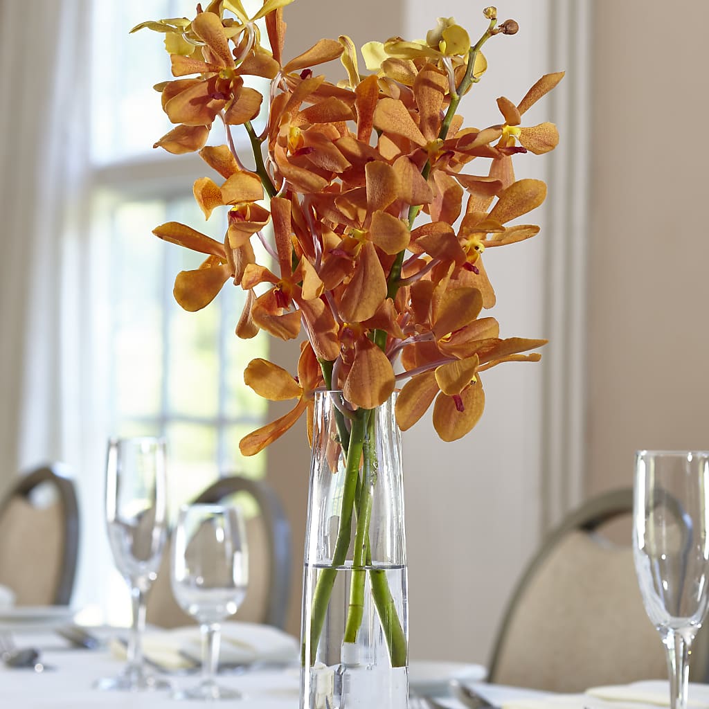 Orange Mokara Bud Vase –  Balloon Creations By Maria And Flower, Wilmington DE