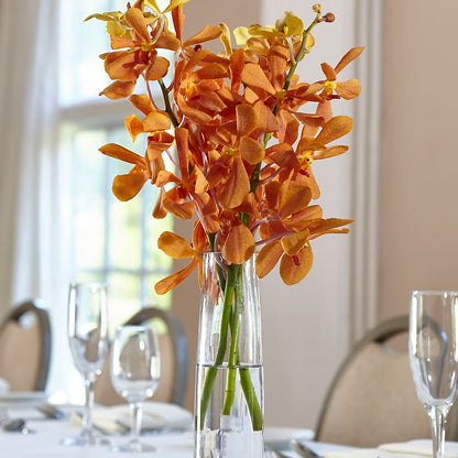 Orange Mokara Bud Vase –  Balloon Creations By Maria And Flower, Wilmington DE