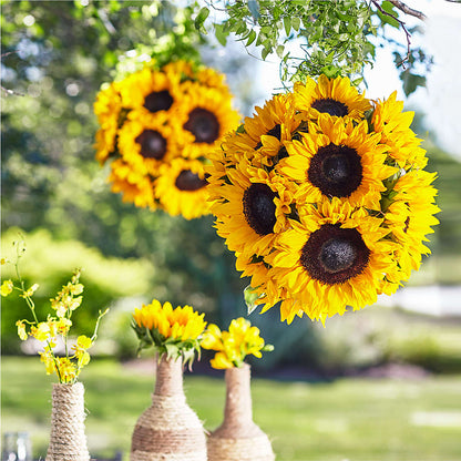 Sublime Garden Hanging Arrangement –  Balloon Creations By Maria And Flower, Wilmington DE