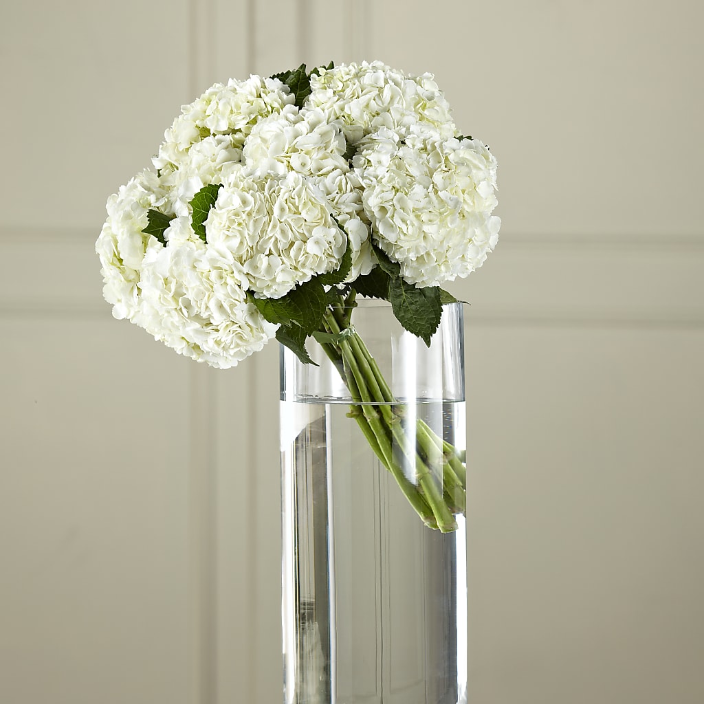 White Hydrangea Hand-Tied Bouquet –  Balloon Creations By Maria And Flower, Wilmington DE