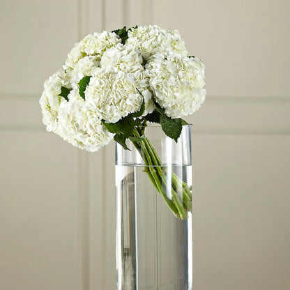 White Hydrangea Hand-Tied Bouquet –  Balloon Creations By Maria And Flower, Wilmington DE