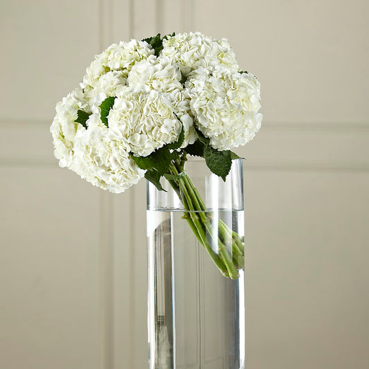 White Hydrangea Hand-Tied Bouquet –  Balloon Creations By Maria And Flower, Wilmington DE
