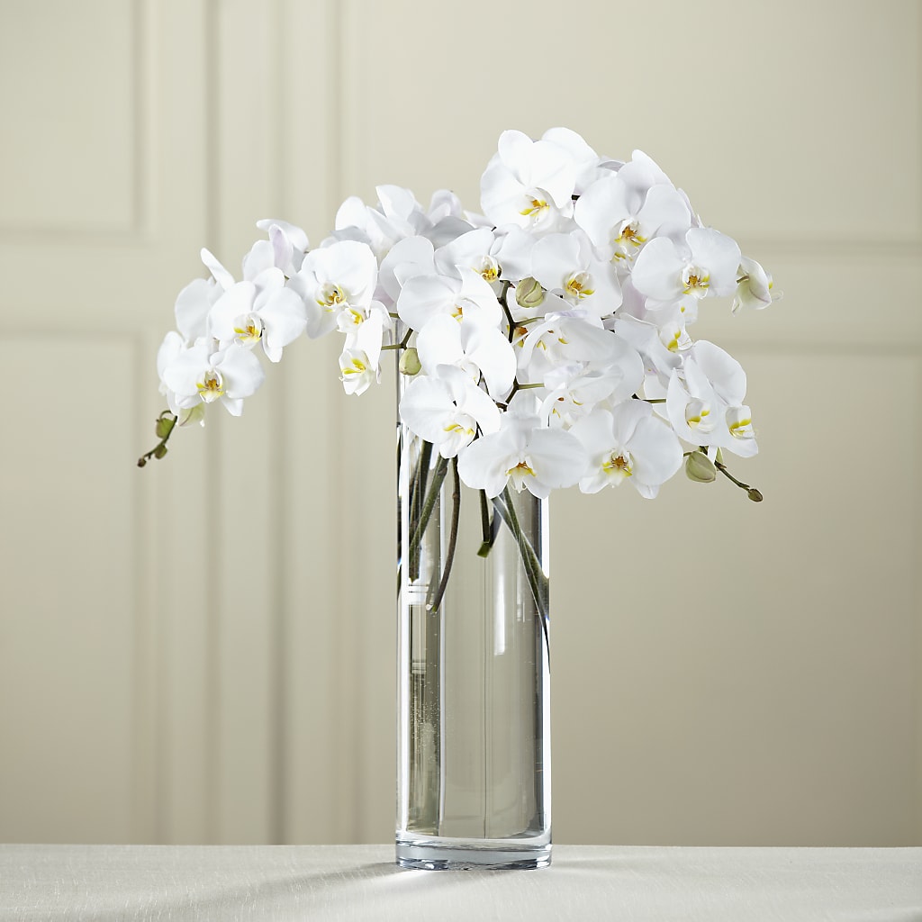 White Phalaenopsis Bouquet –  Balloon Creations By Maria And Flower, Wilmington DE