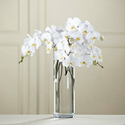 White Phalaenopsis Bouquet –  Balloon Creations By Maria And Flower, Wilmington DE