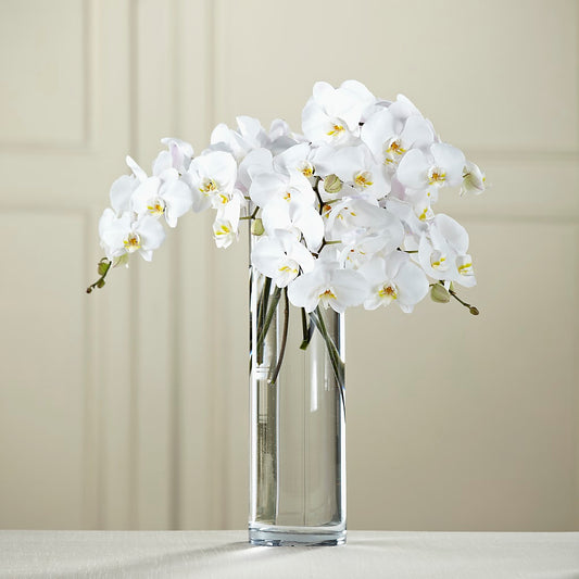 White Phalaenopsis Bouquet –  Balloon Creations By Maria And Flower, Wilmington DE